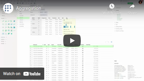 Open on Youtube Aggregate Rows